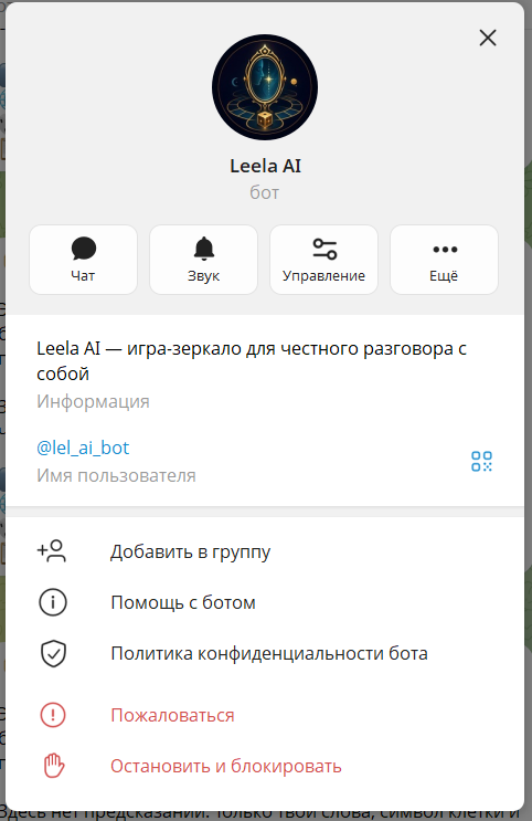 Leela AI — product screen 4